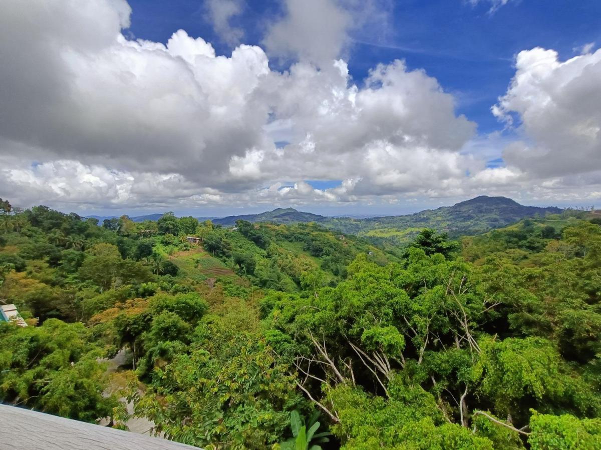 Mist Mountain Resort Powered By Cocotel セブ市 エクステリア 写真