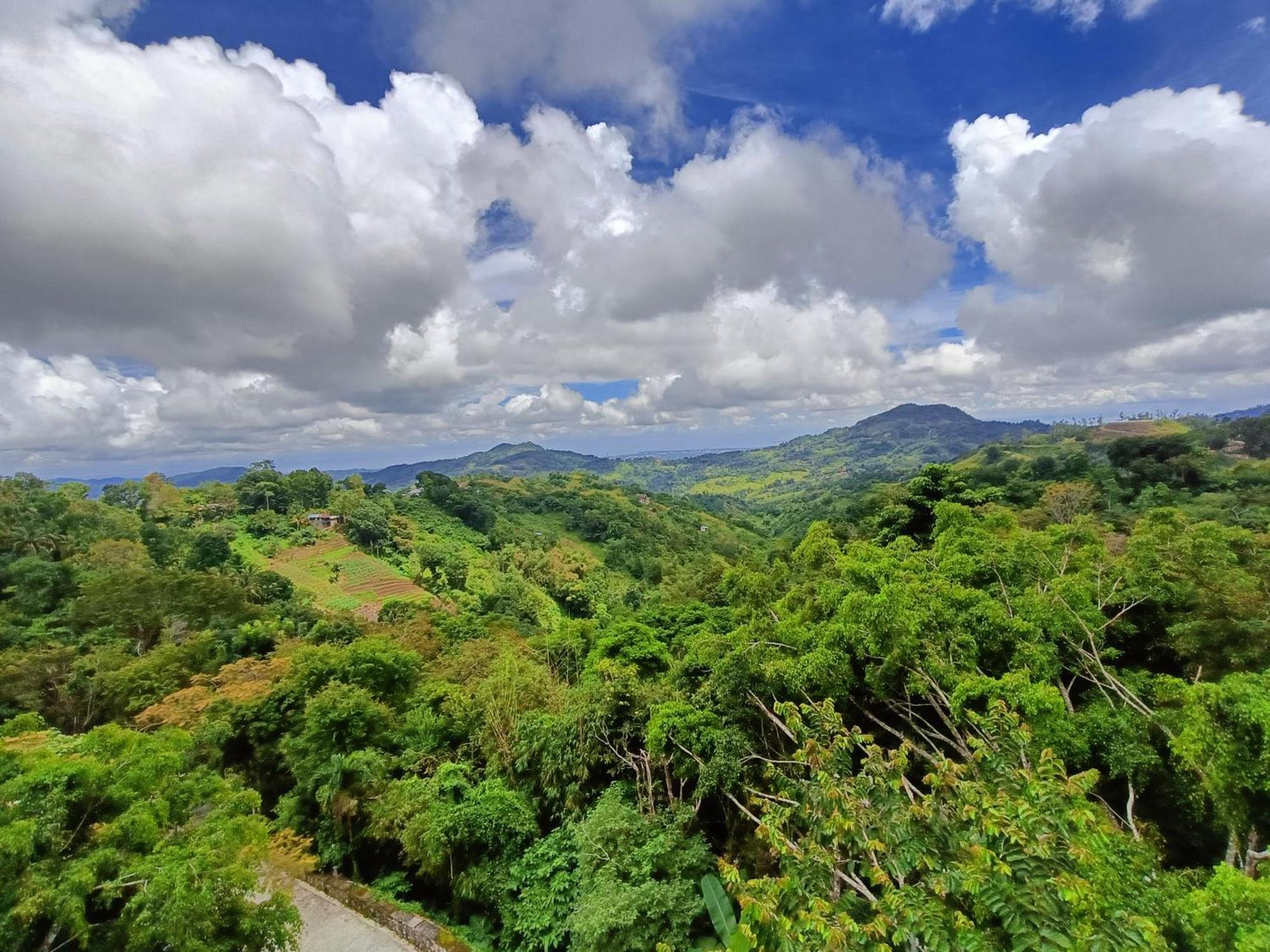 Mist Mountain Resort Powered By Cocotel セブ市 エクステリア 写真